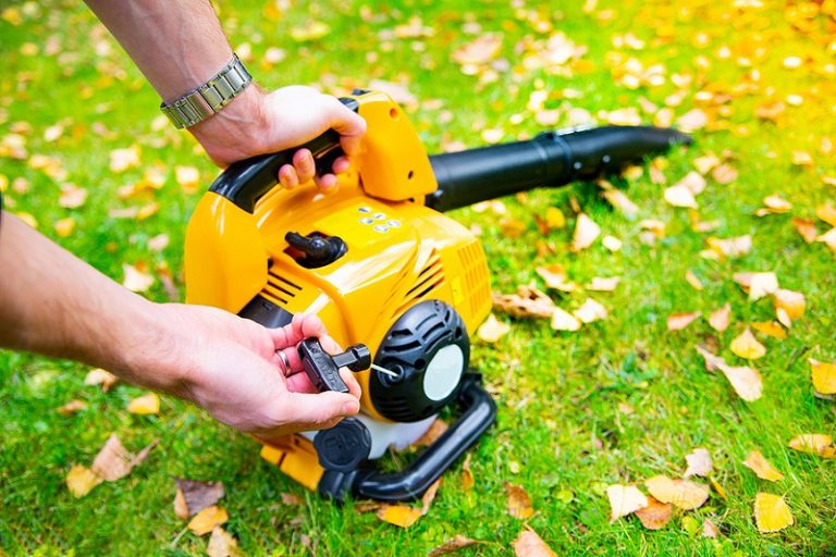 Ultimate Guide To The Best Leaf Blower Australia 2023 Australian Dad
