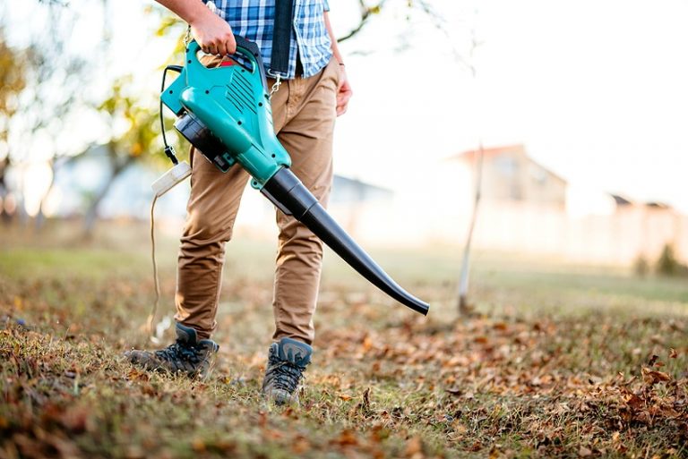 best leaf blower